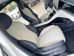 BYD PLUS DM-i 110KM Flagship Version - фото 16