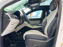 BYD PLUS DM-i 110KM Flagship Version - фото 7