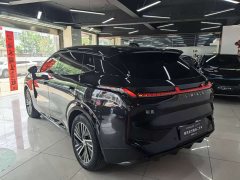 Lynk & Co 08 EM-P 120km Long RangeHalo - фото 15
