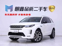 Lexus Discovery Sport Performance Technology Edition - фото 1