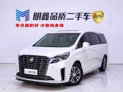 Buick GL8 ES Lu Zun Exclusive - фото 1