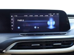 Buick GL8 ES Lu Zun Exclusive - фото 10