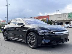 BYD EV Edition 506KMPremium Version - фото 3