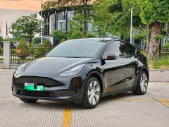 Tesla Model Y Edition - фото 2