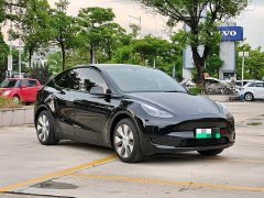 Tesla Model Y Edition - фото 3