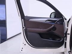 BMW X4 xDrive25i M Sport Package - фото 18