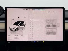 Tesla Model Y Edition - фото 8