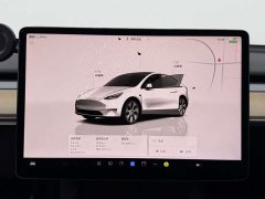 Tesla Model Y Edition - фото 9