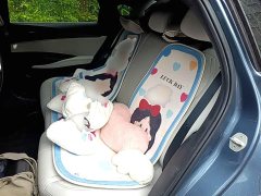 BYD 06 DM-i 80KMLuxury Version - фото 10