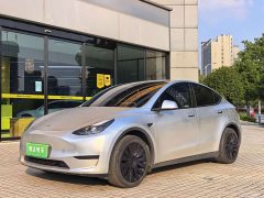 Tesla Model Y Edition - фото 1