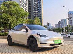 Tesla Model Y Edition - фото 3