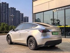 Tesla Model Y Edition - фото 5