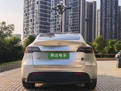 Tesla Model Y Edition - фото 6