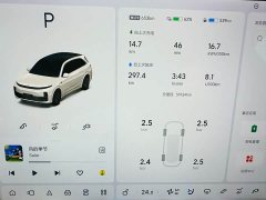 Li Auto L7 Max - фото 20