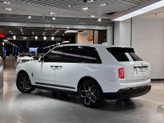 Land Rover Black Badge - фото 4