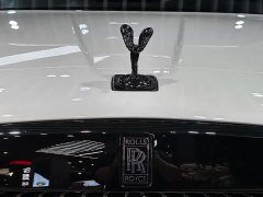 Land Rover Black Badge - фото 5