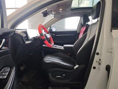 SAIC RX5 eMAX 1.5T PHEV Edition - фото 16