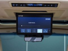 Toyota Wilfa 2020 Shuangqing 2.5L Black Gold Limited Edition - фото 14