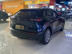 Mazda CX-30 2.0L Automatic Yayue Trim - фото 6