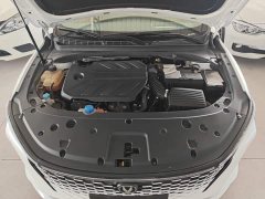 PLUS 1.5T DCT Version - фото 20