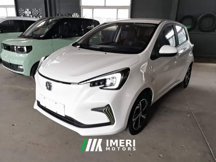 BYD E-Star Edition - автомобиль из Китая