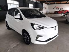 BYD E-Star Edition - фото 4