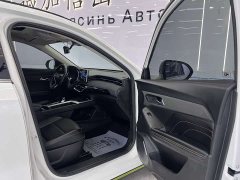 Haval Red Rabbit Exclusive Edition 1.5T Red Bronze Rabbit - фото 19