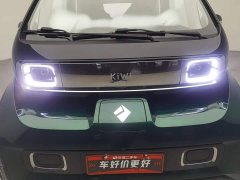 BYD KiWi EV Edition - фото 6