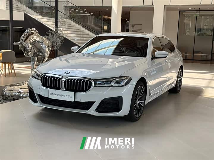 BMW 5 530Li Version M - автомобиль из Китая