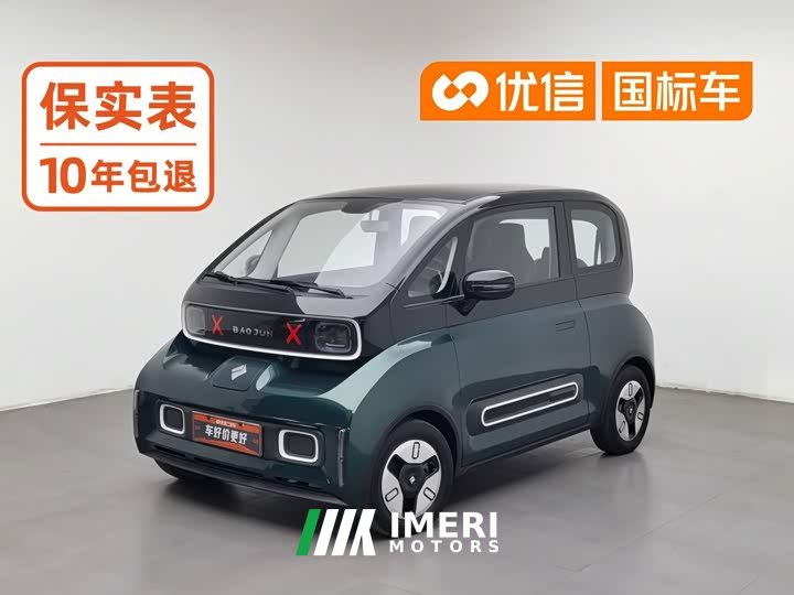 BYD KiWi EV Edition