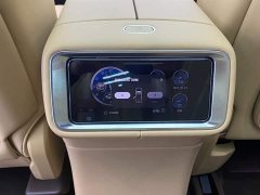 AITO M9 Range Extended Ultra 52kWh 6-Seat (192-Line LiDAR) - фото 20