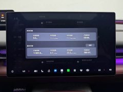 Lynk & Co HL 350 Max Edition - фото 17