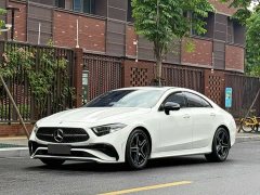 Mercedes-Benz CLS 2022 CLS 300 Dynamic - фото 1