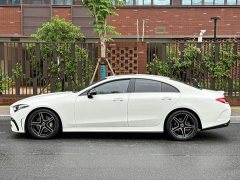 Mercedes-Benz CLS 2022 CLS 300 Dynamic - фото 5