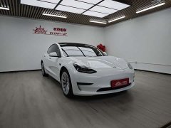 Tesla Model 3 Edition - фото 1