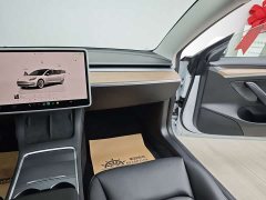 Tesla Model 3 Edition - фото 16