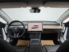 Tesla Model 3 Edition - фото 17