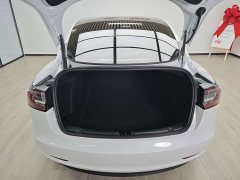 Tesla Model 3 Edition - фото 8
