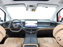 Denza D9 DM-i 970 four-wheel drive flagship - фото 13