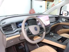 Denza D9 DM-i 970 four-wheel drive flagship - фото 9