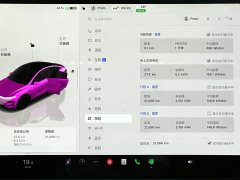 Tesla Model Y Edition - фото 14