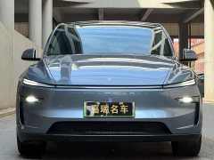 Tesla Model Y Edition - фото 2