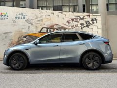 Tesla Model Y Edition - фото 3