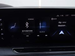 Buick GL8 Avenir Six-seater Xianli Edition - фото 20