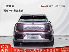 Audi E7X Version - фото 4