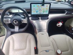 smart#1 Pulse Edition - фото 13