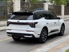 Porsche L 2.0T EcoBoost AWD Version - фото 11