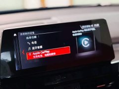 BMW X2 sDrive25i M - фото 11
