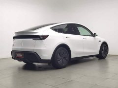 Tesla Model Y Edition - фото 2