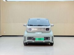 BYD KiWi EV Edition - фото 2